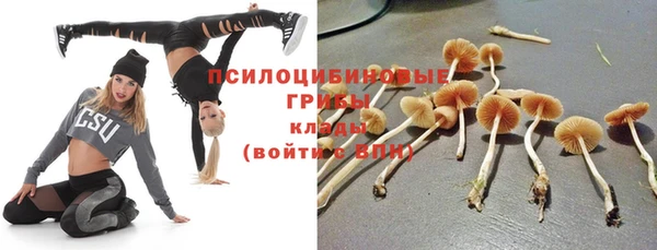 бутират Алексин