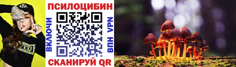 мега рабочий сайт  Зеленоградск  Псилоцибиновые грибы GOLDEN TEACHER 